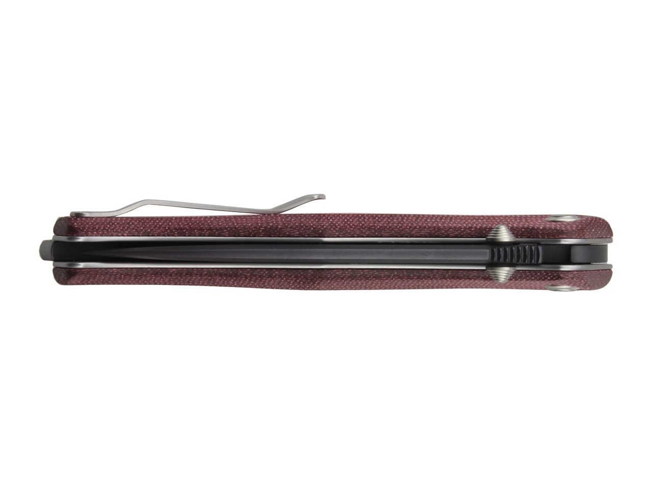 Gekko 1555