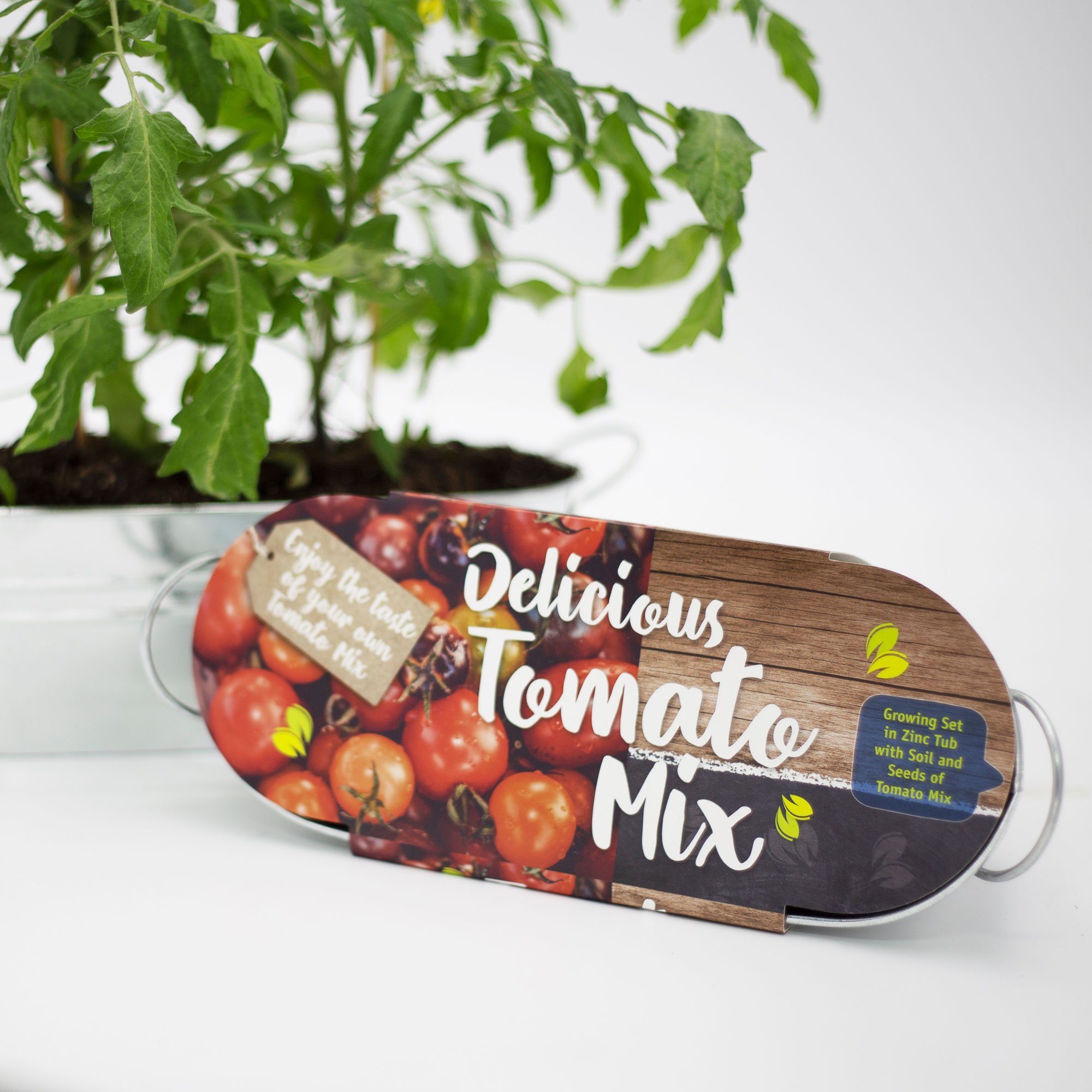 UNUS GARDEN Blumenerde Anzuchtset Tomaten Zinkwanne, (33 x 12 x 11 cm (LxBxH), inklusive Zinktopf / Zinkwanne, Blumenerde, Saatgut (Tomatensamen)