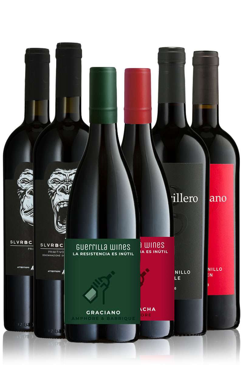 Mailand oder Madrid - Hauptsache Italien! Geile Weine Weinpaket