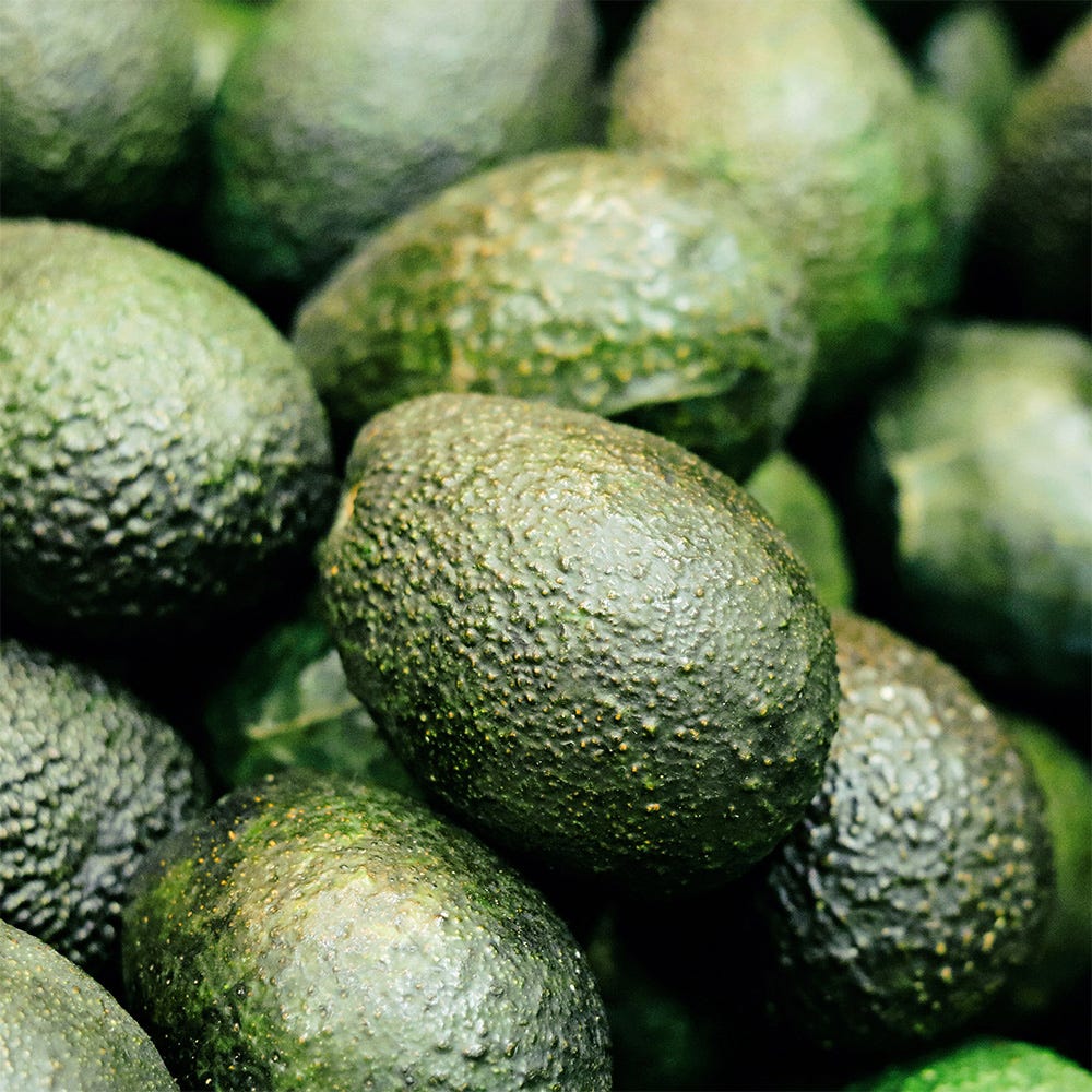 Rausch Farbschutz-Conditioner mit Avocado 30 ml