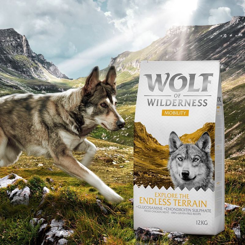 Sparpaket Wolf of Wilderness 'Explore' 2 x 12 kg