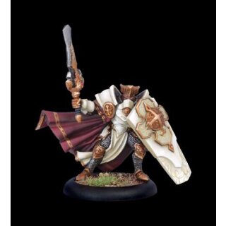 Protectorate Paladin of the Order - alternativ (PIP32048)