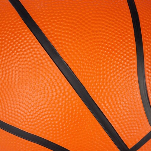 BASKETBALL HARLEM 50