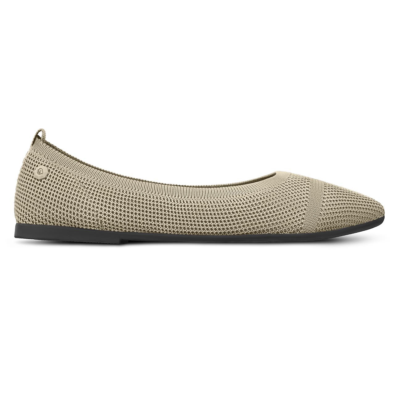 Eco Ballerinas Pointy 2.0
