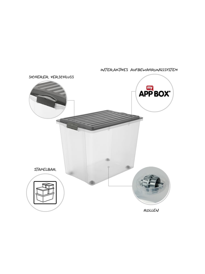 Rotho Compact Aufbewahrungsbox 70l mit Deckel, Kunststoff (PP) in Anthrazit günstig kaufen onesize