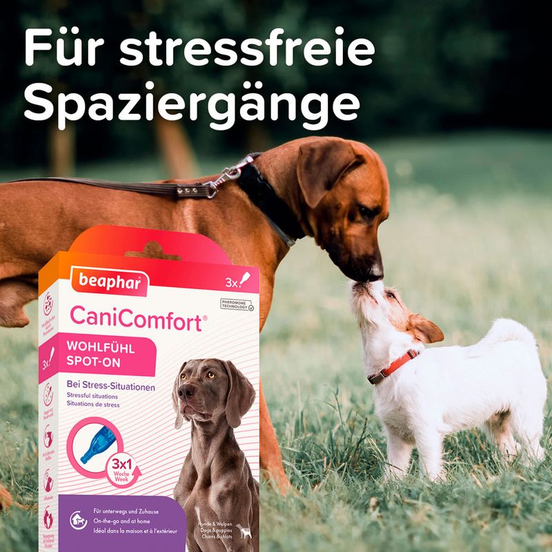 Beaphar CaniComfort Wohlfühl Spot-On zu TOP-Preisen
