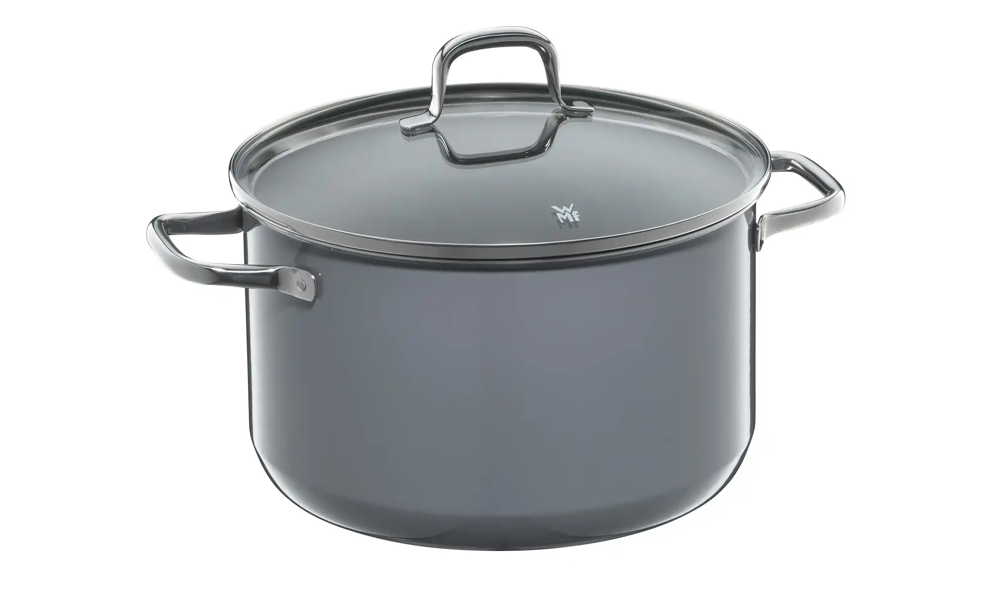 WMF Fleischtopf Fusiontec