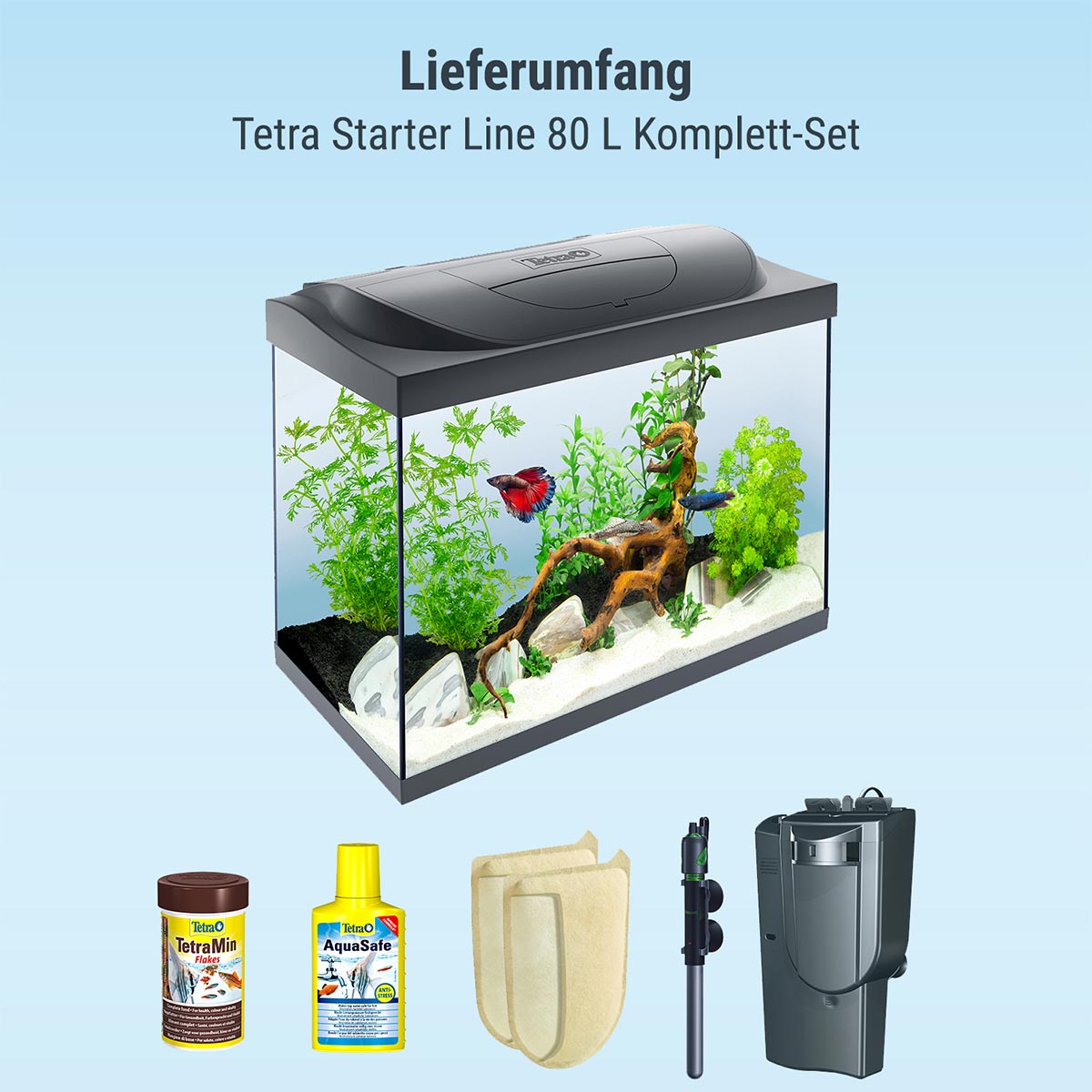 Tetra Starter Line LED Aquarium 80L günstig kaufen