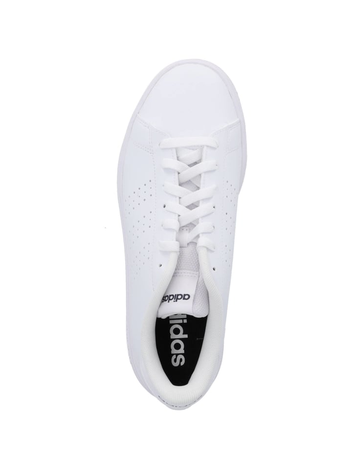 adidas Klassische- & Business Schuhe in ADVANTAGE BASE 2.0 günstig kaufen
