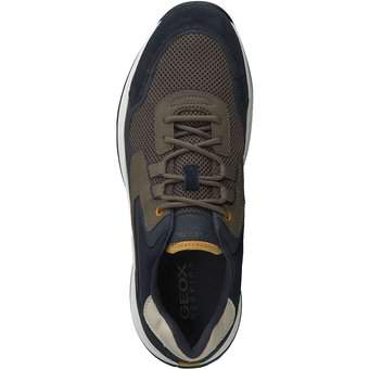 Geox Terrestre B Sneaker in blau