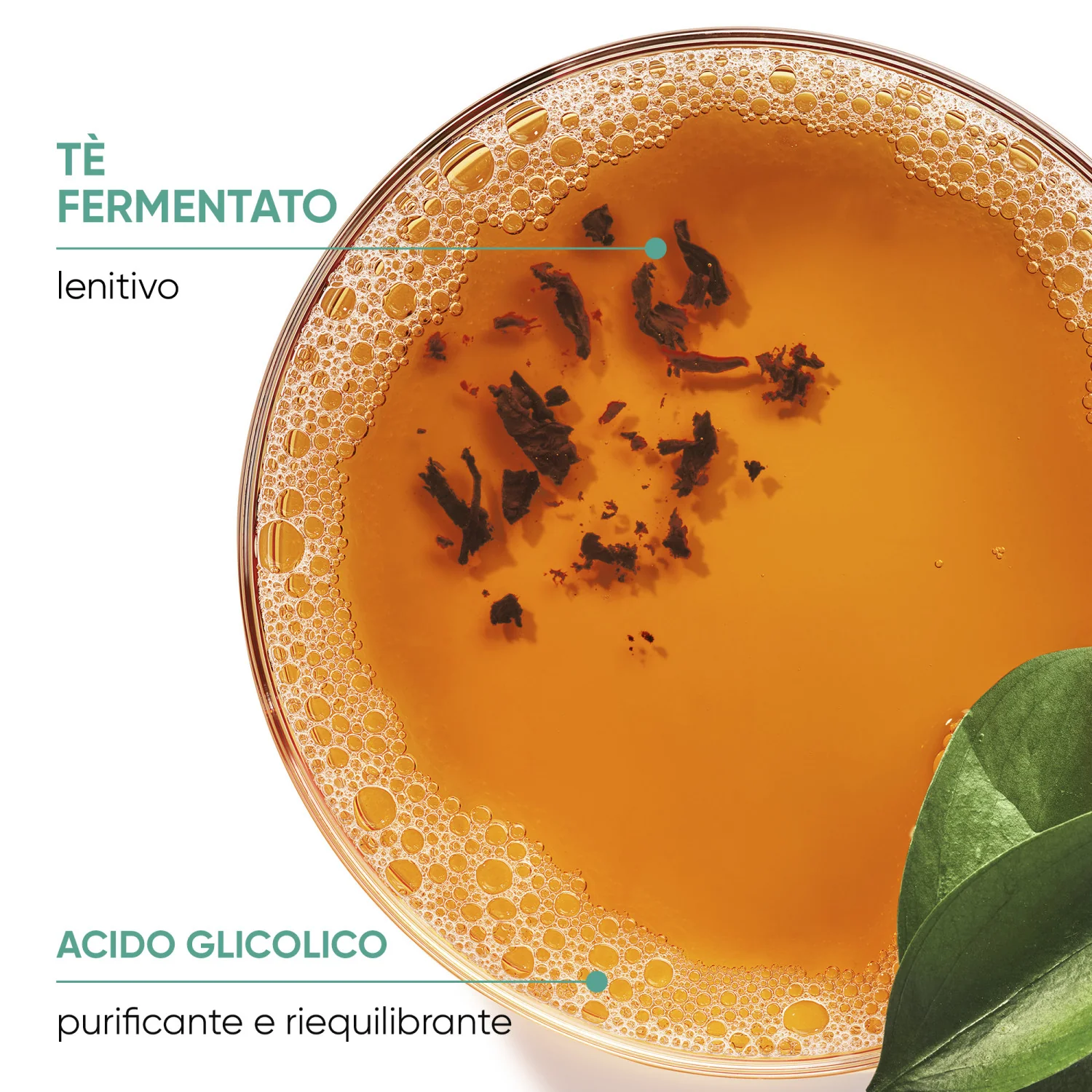 Champú anticaspa Scalp Sync - Champú anticaspa