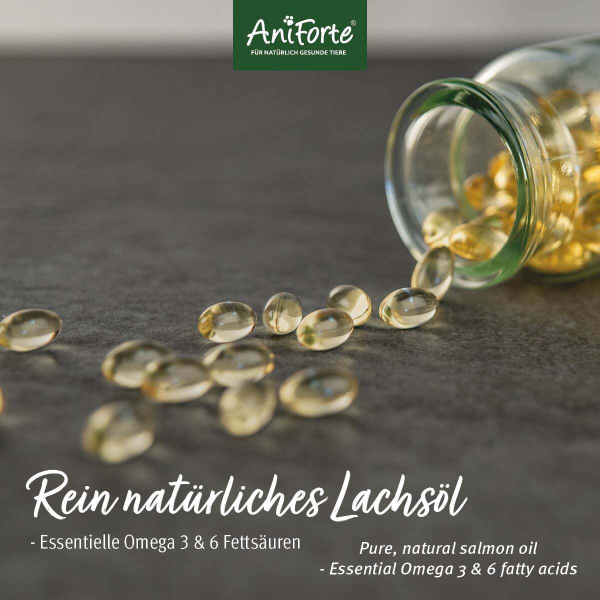 Aniforte Ergänzungsfutter & Aufzucht Aniforte Lachsöl Kapseln 500 Stück