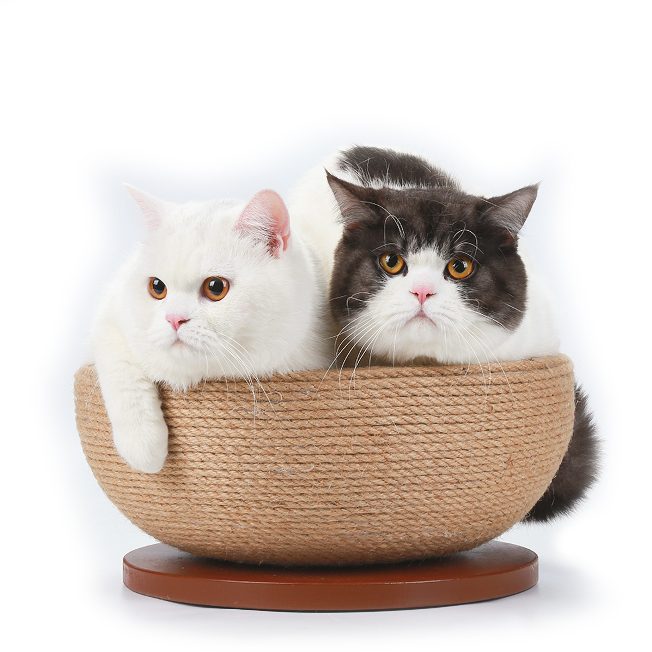 Canadian Cat Company Kratzbretter & Kratzpappen Canadian Cat Company Sisal-Kratzschale Bowl