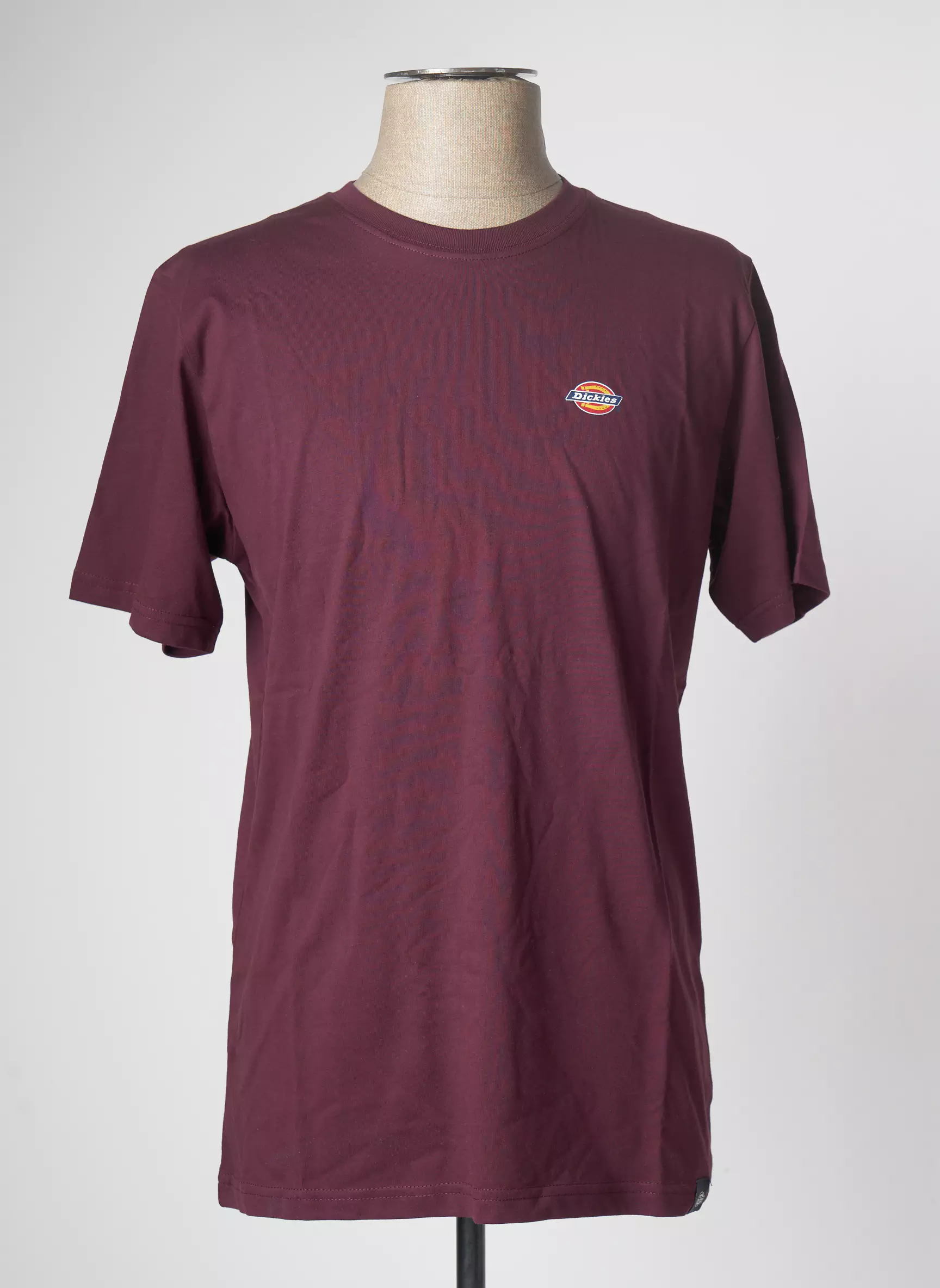 Dickies Tshirts Homme couleur marron
