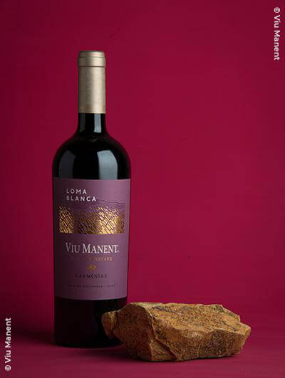 Viu Manent : Loma Blanca Single Vineyard Carménére 2018