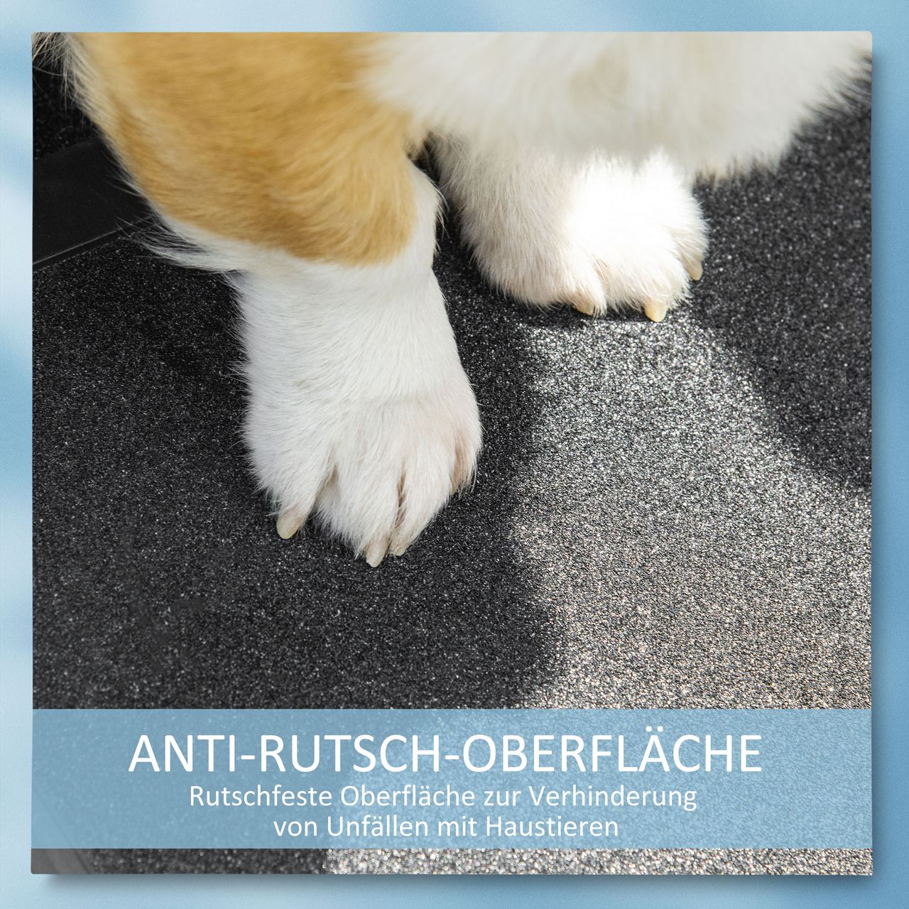 PawHut Hunderampe Haustierrampe Teleskop Autorampe Tragegriff klappbar Schwarz