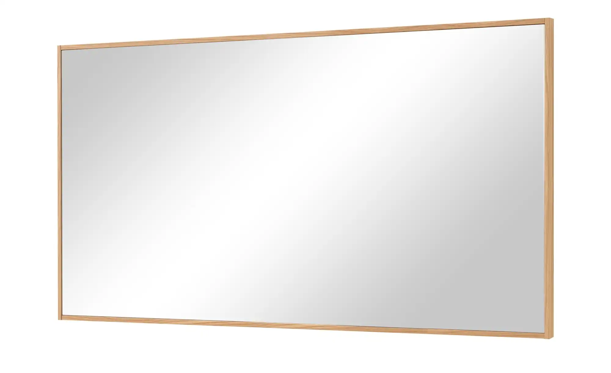 Spiegel 119 x 62 cm