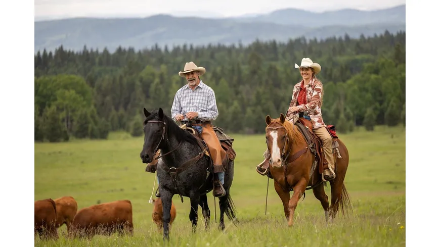 Heartland - Paradies für Pferde - Staffel 16  [4 DVDs]