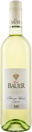 2022 Grüner Veltliner Riede Marienberg trocken - Weingut Emil Bauer
