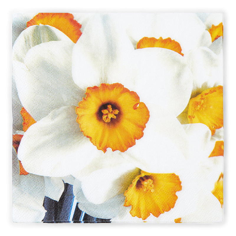 Vie Home Servietter 20-pk 33x33 cm, Påske