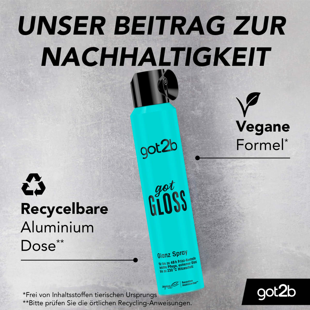 Glanz Spray got Gloss, 200 ml
