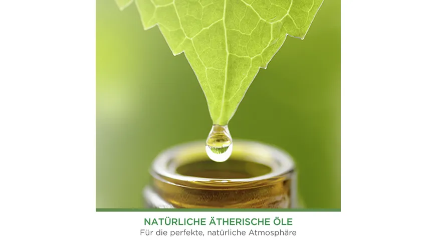 Air Wick Freshmatic Max Starter-Set Sommervergnügen