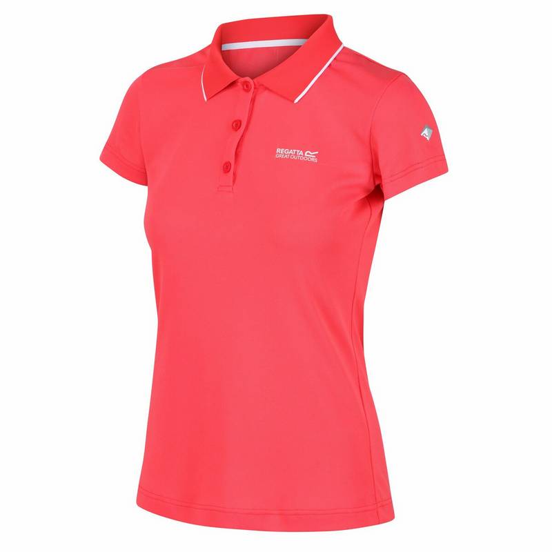 Regatta Maverik V Funktionsshirt Damen