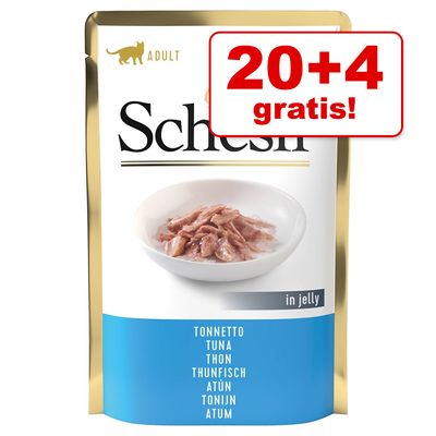 20 + 4 gratis! 24 x 85 g Schesir Jelly Pouch