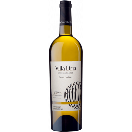 TERRE DE FEU 2022 - VILLA DRIA