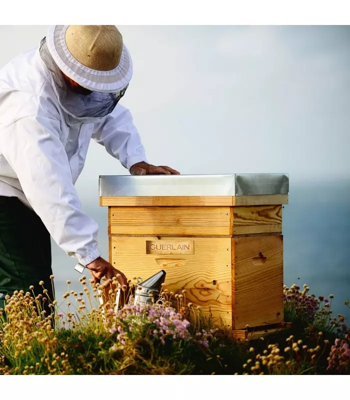 ABEILLE ROYALE - MASQUE HONEY CATAPLASM Défroissage immédiat, luminosité intense