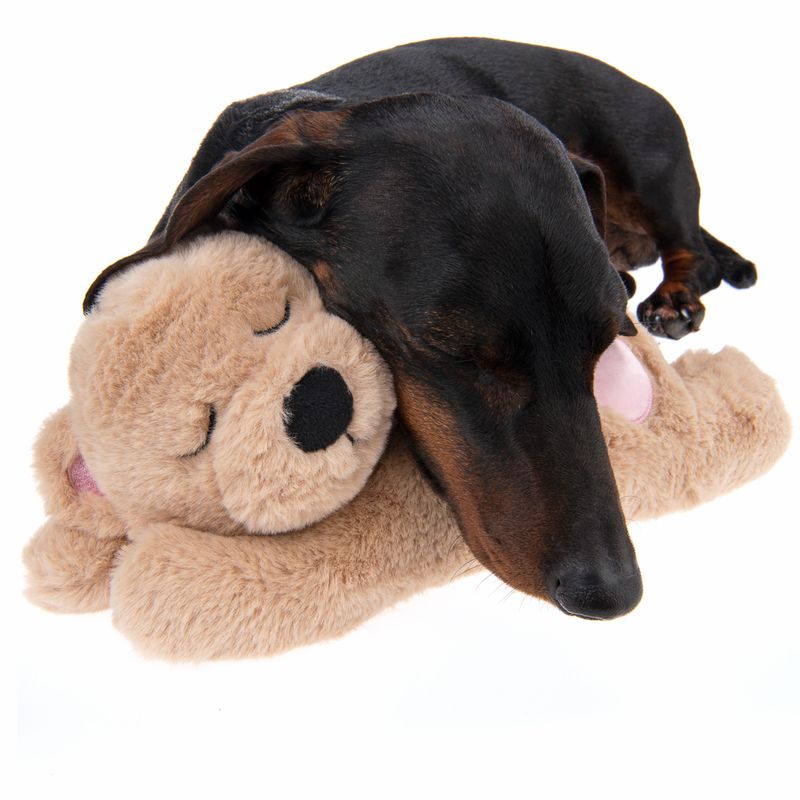 Hundespielzeug Mr. Snugglez zu TOP-Preisen