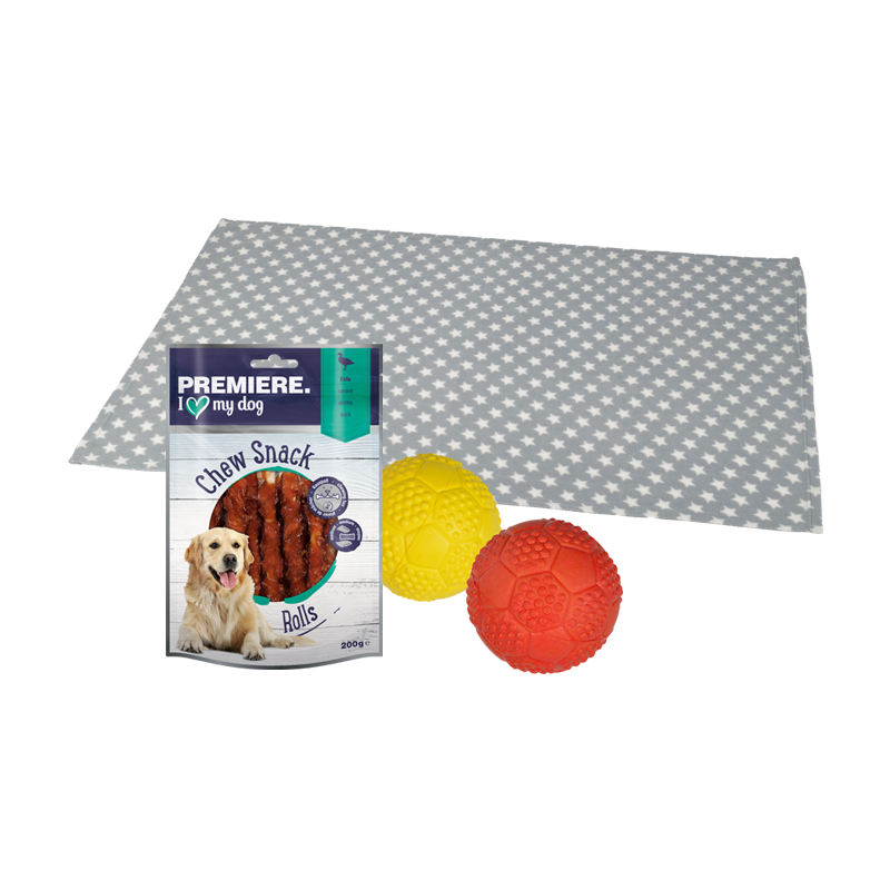 FIT+FUN Snacks FIT+FUN Set Training - Snack + Ball + Liegedecke