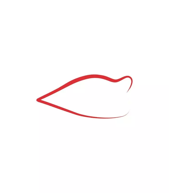 LIP LINER TATOO Feutre Contour Des Lèvres Semi-Permanent