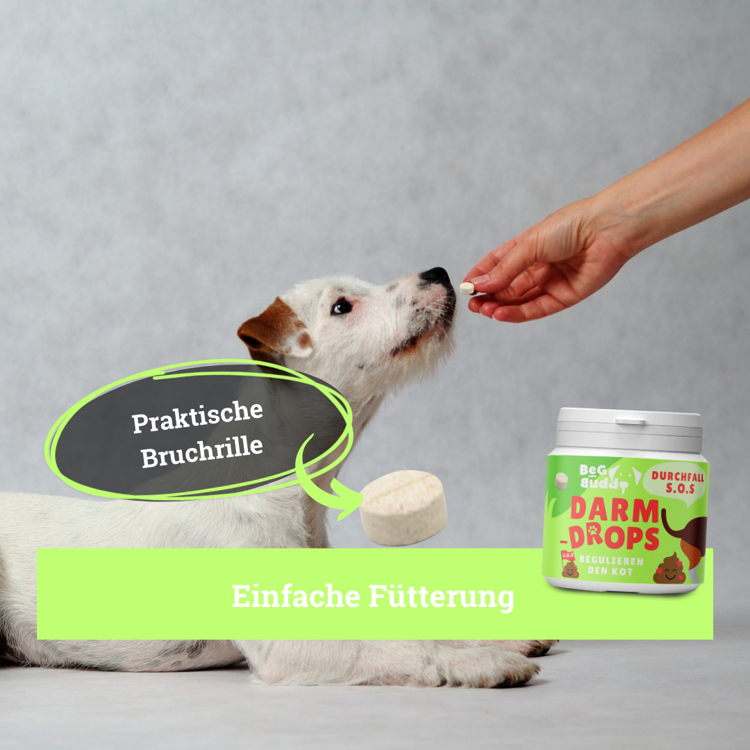 BeG Buddy Ergänzungsfutter & Aufzucht BeG Buddy Magen & Darm Tabletten Hund, Präbiotika zum Darmaufbau, Verdauung, Durchfall