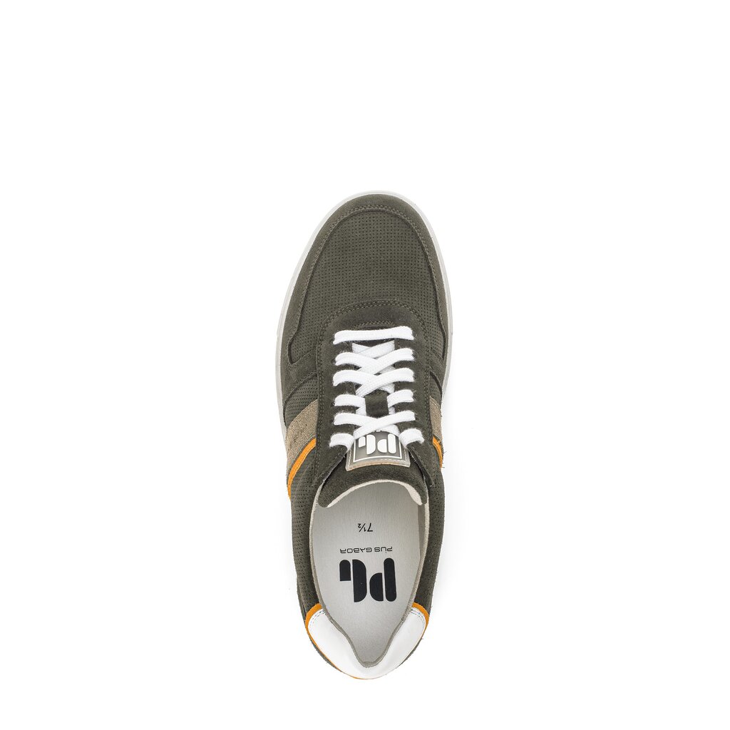 Pius Gabor PG1040 Sneaker low grün