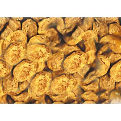 Carp Active Baits Tiger Nuts Classic -kuivasiemenet