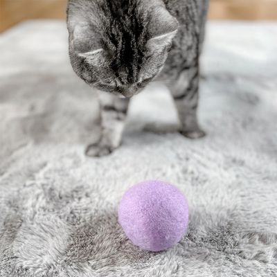 Aumüller Natürliche Wollfilzkugel