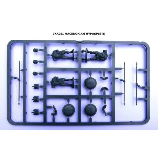 Macedonian Phalangites