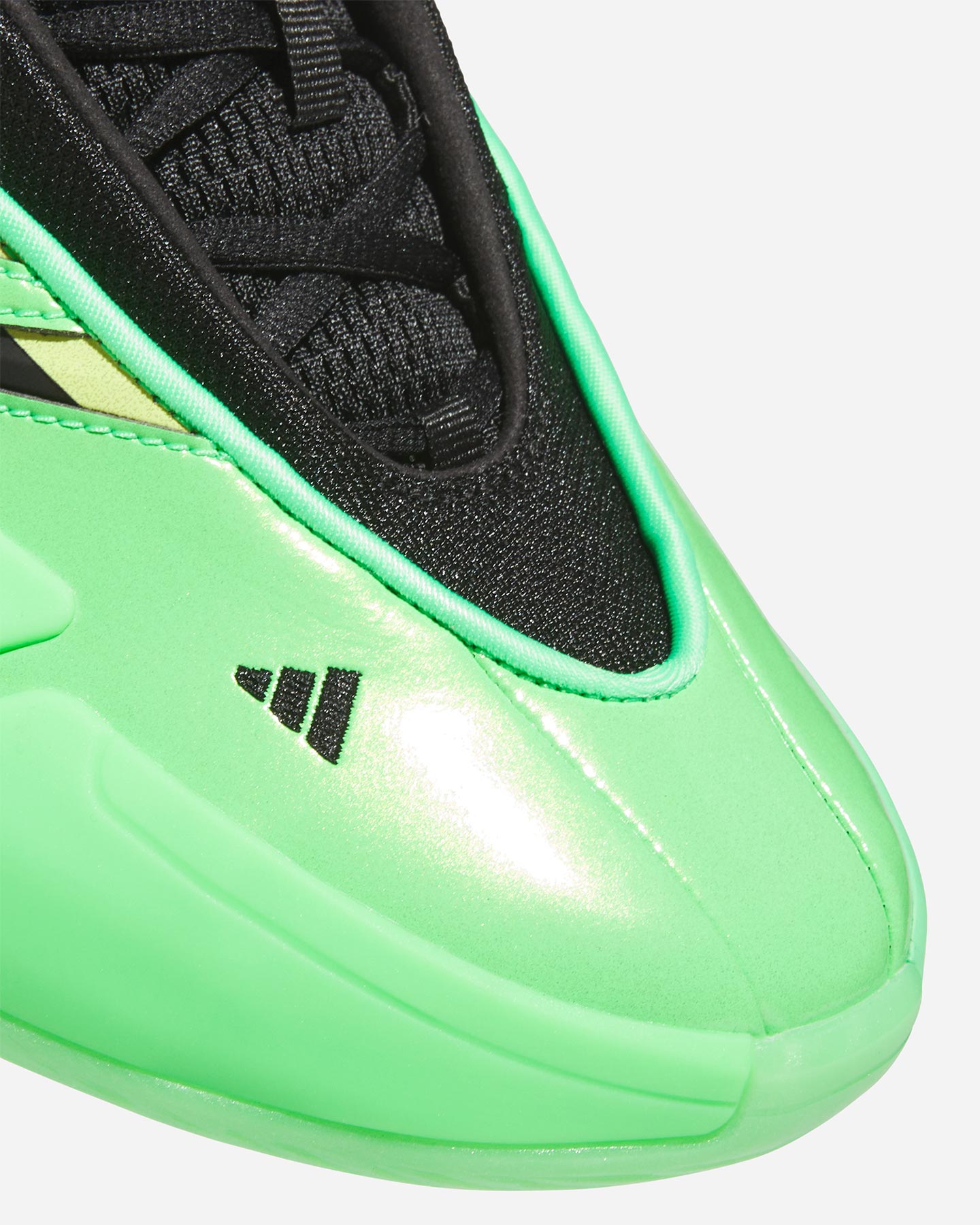 Kosz Scarpe Adidas Dame 9 M JR2508