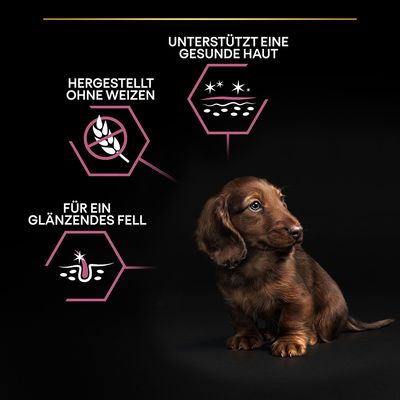 PURINA PRO PLAN Small & Mini Puppy Sensitive Skin