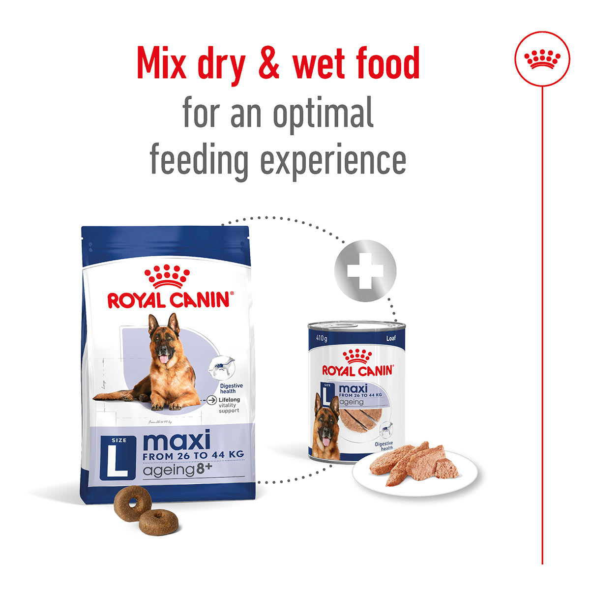 Royal Canin SHN Maxi Ageing Loaf Can günstig kaufen bei ZooRoyal
