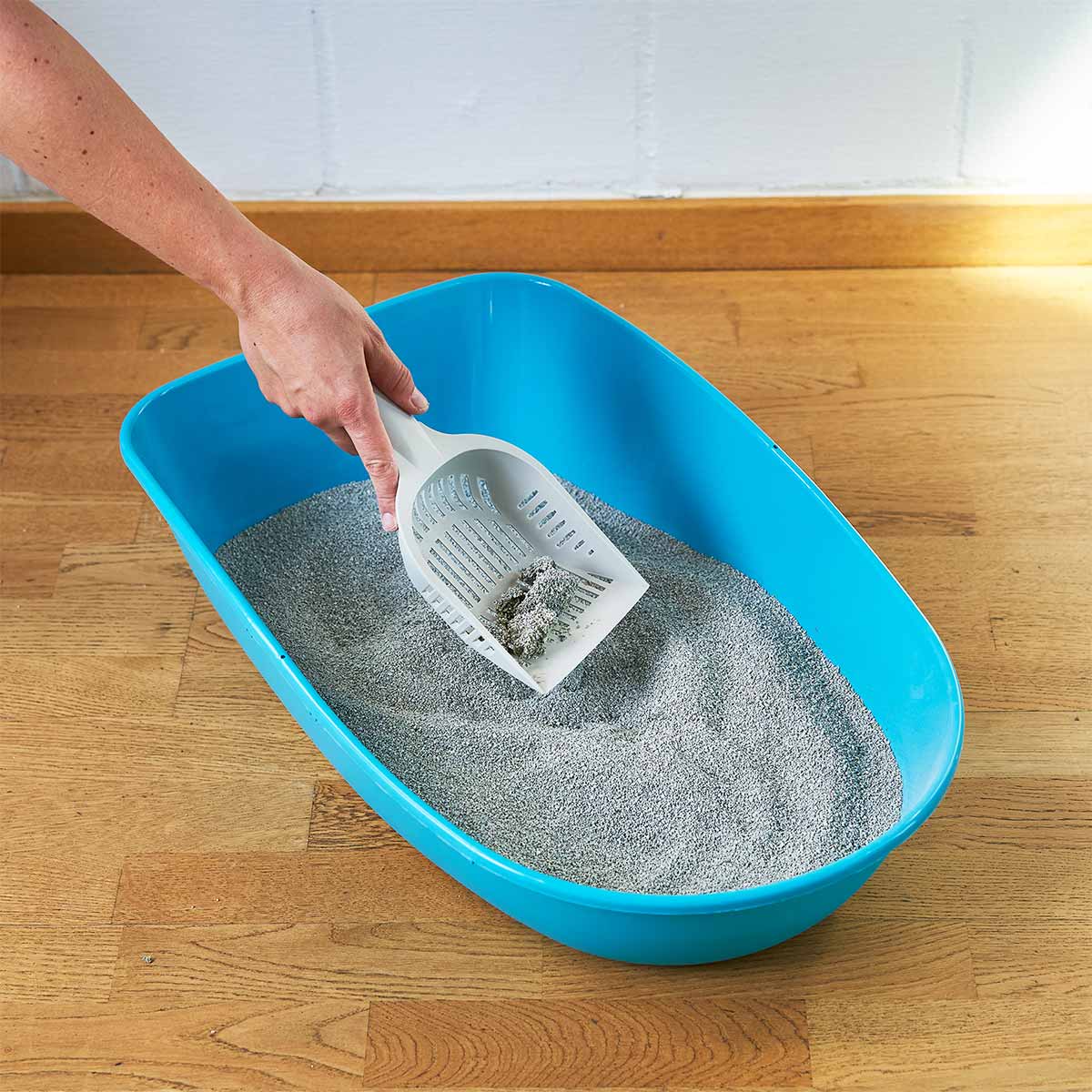 ZooRoyal Tigrooo mit Babypuderduft günstig kaufen