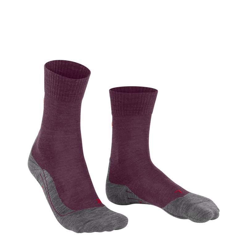 Falke TK5 Wander Wandersocken Damen