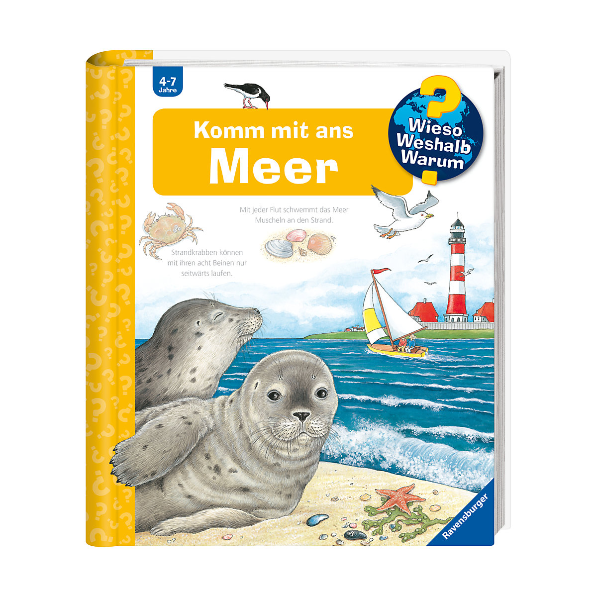 WWW Komm mit ans Meer
