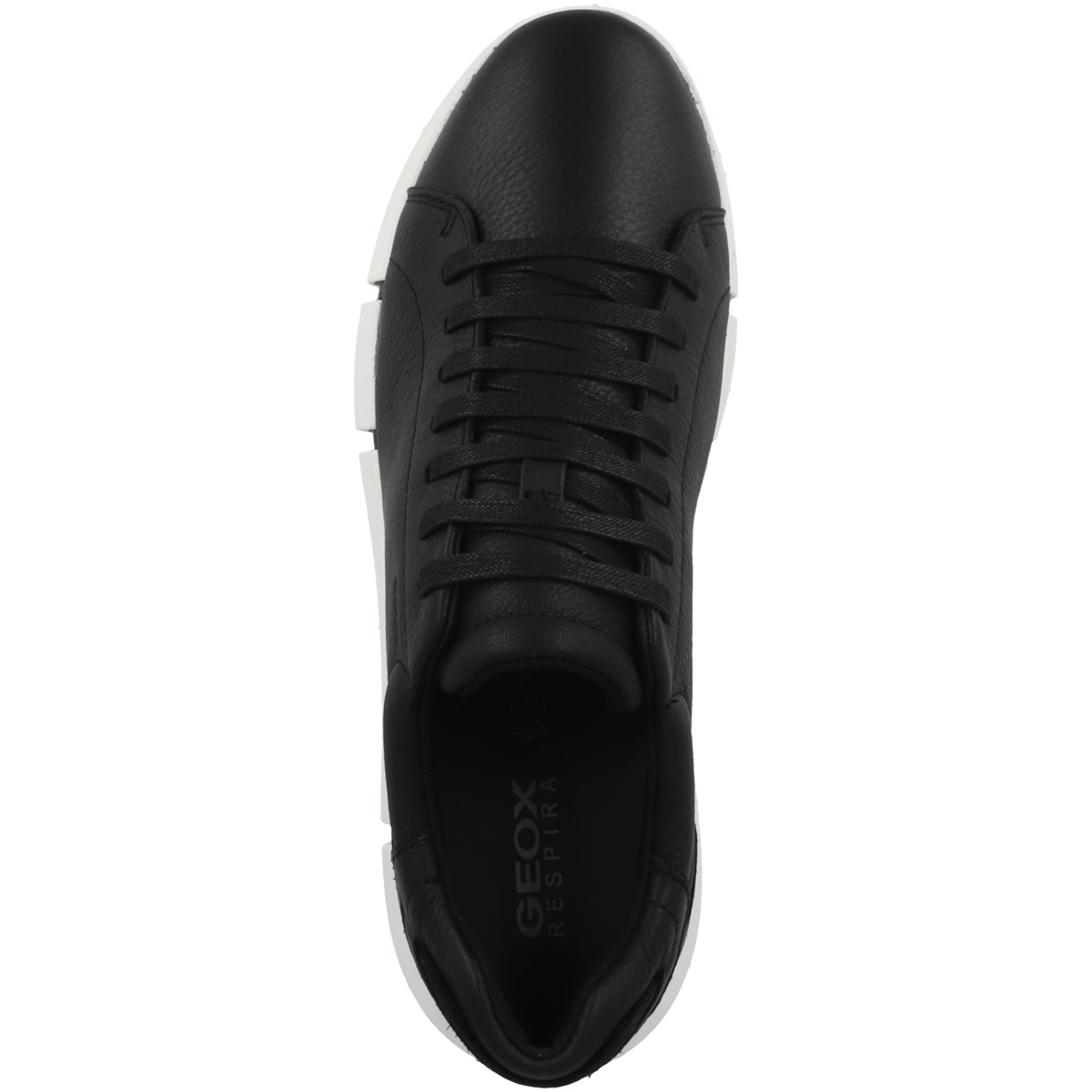 Geox U Adacter A Sneaker Low schwarz