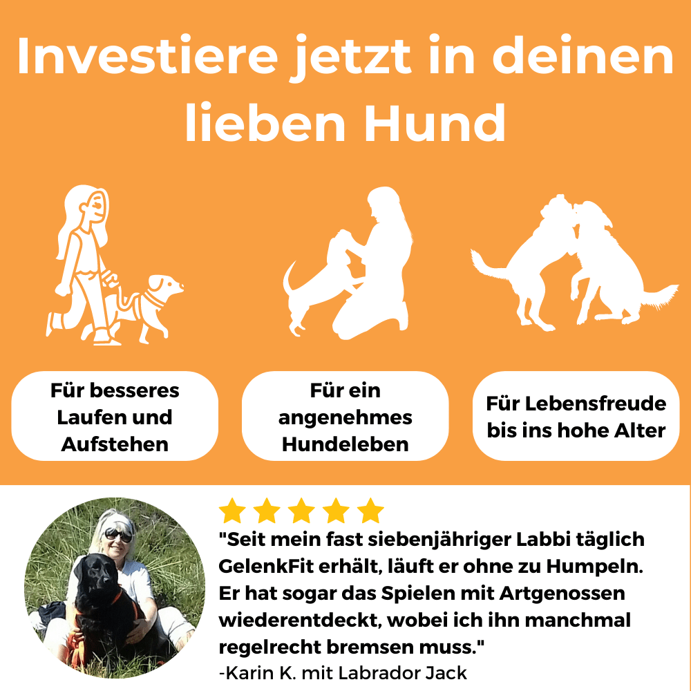 Dog-Native Ergänzungsfutter & Aufzucht Dog-Native GelenkFit Pulver für Hunde, natürliches Gelenkpulver mit Grünlippmuschel, MSM, Kollagen-Hydrolysat und Chondroitin für Gelenke, 500 g