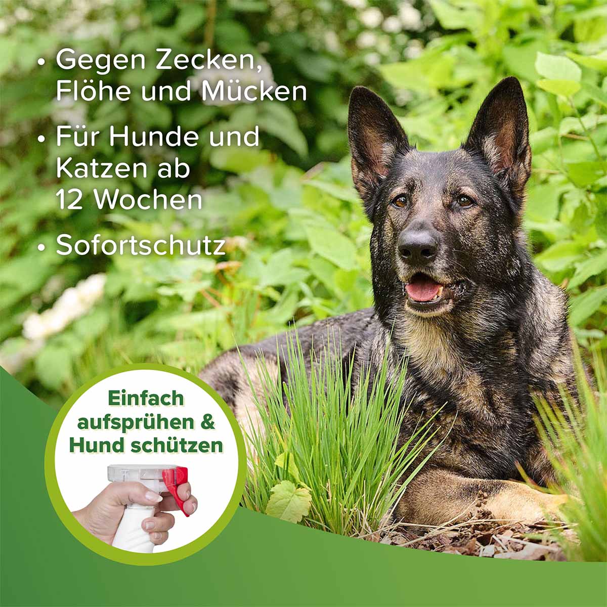 Beaphar Zecken- und Flohschutz Spray 400ml kaufen
