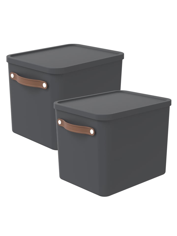 Rotho 2er-Set Aufbewahrungsbox Maloja 27l günstig kaufen onesize