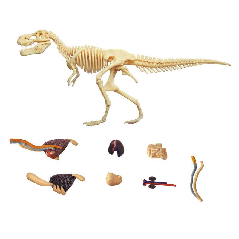 Coffret paléontologue Dinosaure T-Rex à reconstituer