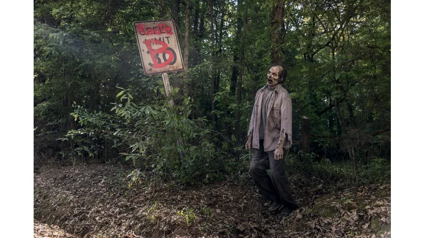 The Walking Dead - Staffel 9 - Uncut  [6 BRs]